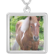 Pinte a colar de um quarto do cavalo