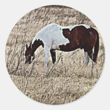 Pinte o cavalo adesivo