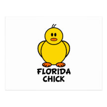 Pintinho de Florida Cartao Postal
