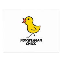 Pintinho norueguês cartão postal