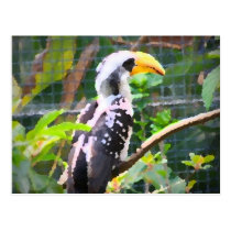 pintura tropical do abstrato do pássaro do hornbil cartées postais