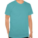 Pisco de peito vermelho a maravilha do menino camisetas