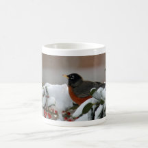 Pisco de peito vermelho na caneca da neve