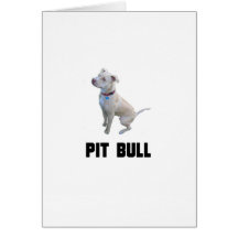 Pitbull Cartoes