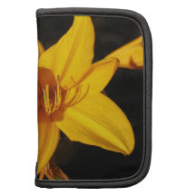 Planejador amarelo da orquídea organizador
