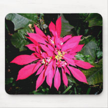 Pointsettia 5 mouse pad