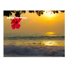 Por do sol Aloha de Havaí Cartao Postal