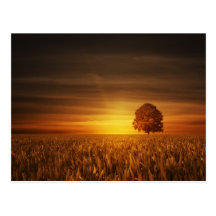 Pôr do sol cartão postal