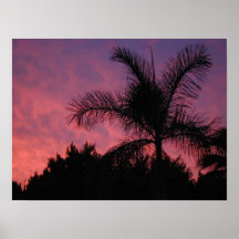 Por do sol da palma pôsteres
