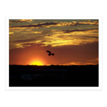 Por do sol de Florida Cartão Postal