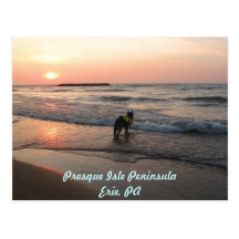 Pôr do sol do amor dos cães cartoes postais