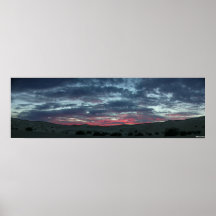 Por do sol do botão de ouro posters