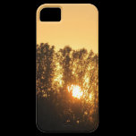 Por do sol capas casemate