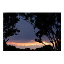 Por do sol sul de Florida Cartões Postais