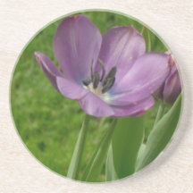 Porta copos roxa das tulipas