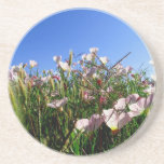Porta copos - Wildflowers porta-copos
