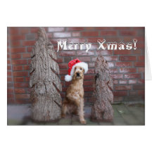 Postal de natal “Terrier Irlandesa " Cartões