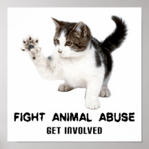 POSTER ANIMAL DO GATINHO DO ABUSO DA LUTA