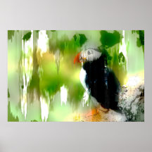 Poster artístico do papagaio-do-mar