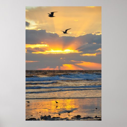 Poster bonito do cenário do nascer do sol da praia