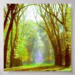 Poster claro do primavera