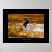 Poster da arte do pantanal da águia americana