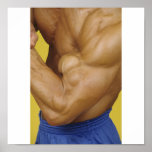 Poster da parede do Gym - cor 1