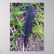 Poster da pena dos corvos