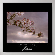Poster das flores de cerejeira em Tokyo, Japão