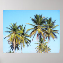 Poster das palmas