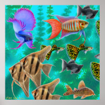 Poster de água doce dos peixes do aquário