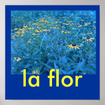 poster de Flor do la