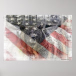 Poster de Grizzley do americano