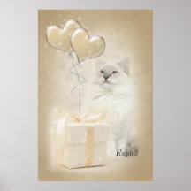 Poster de Ragdoll