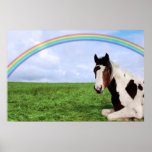 poster do cavalo do arco-íris