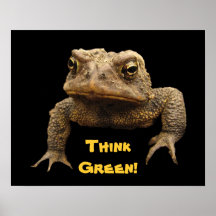 Poster do Dia da Terra do sapo americano