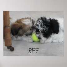 Poster do filhote de cachorro dos melhores amigos 