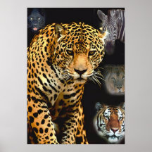 poster do jungle_fever