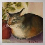 POSTER - gato francês