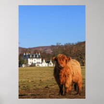 Poster/impressão da vaca das montanhas
