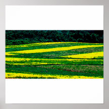 Poster/impressão dos campos do primavera
