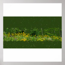 Poster/impressão dos Wildflowers