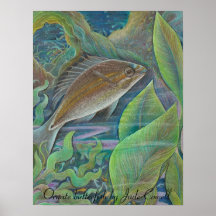 Poster ornamentado da arte do butterfish