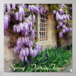 POSTER - primavera - Tournon France