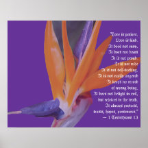 Poster tropical do presente de casamento da praia