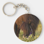 Pouco pônei de Sharni Shetland Chaveiro