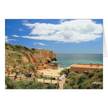 Praia a Dinamarca Coelha Cartoes
