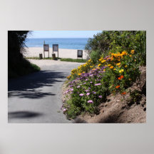PRAIA DE ALISO POSTERS