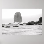 Praia em preto e branco pôsteres