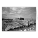 Praia Long Island New York de Jones Cartoes